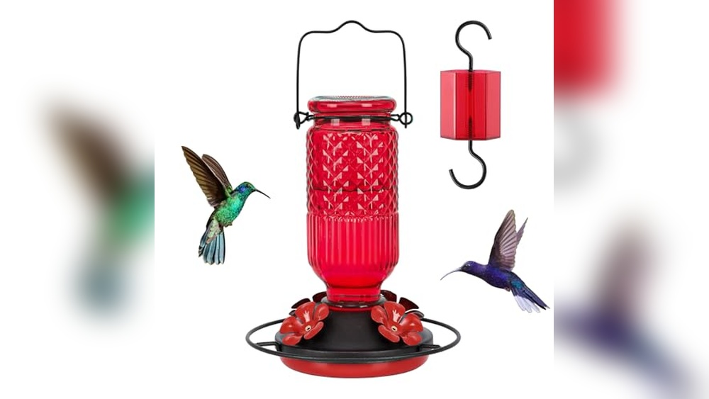 Best Bird Feeder for Hummingbirds