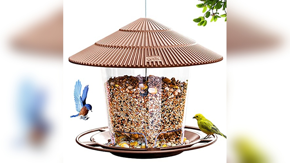 Best Bird Feeders Amazon