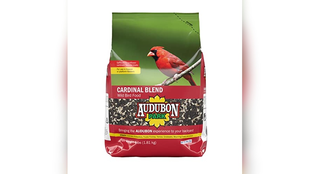 Best Bird Feeders for Cardinals
