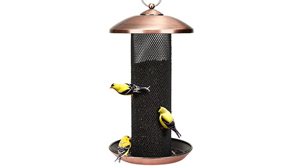 Best Bird Feeders for Finches