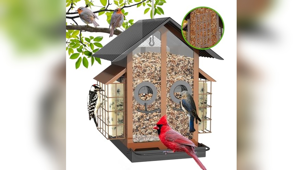 Best Bird Feeders Wirecutter