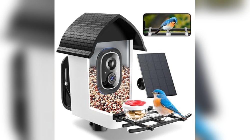 Best Bird Feeders With Cameras