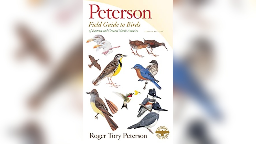 Best Bird Field Guide
