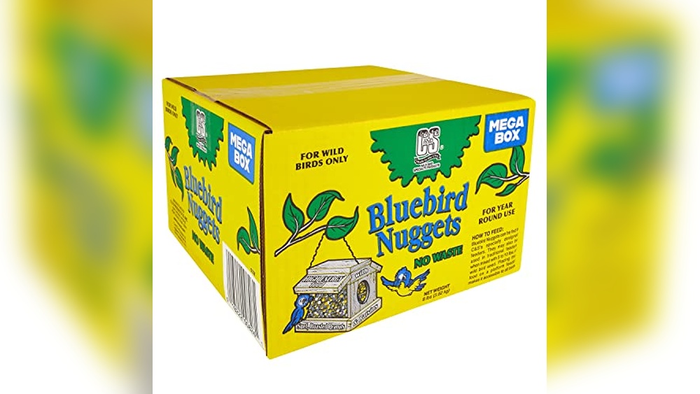 Best Bird Food for Bluebirds