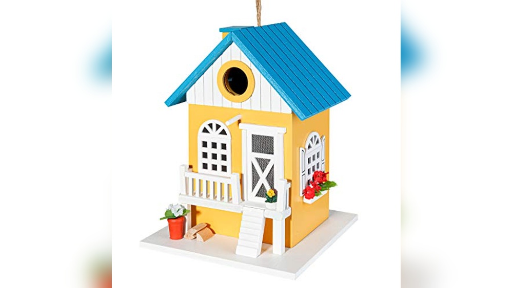 Best Bird House Designs