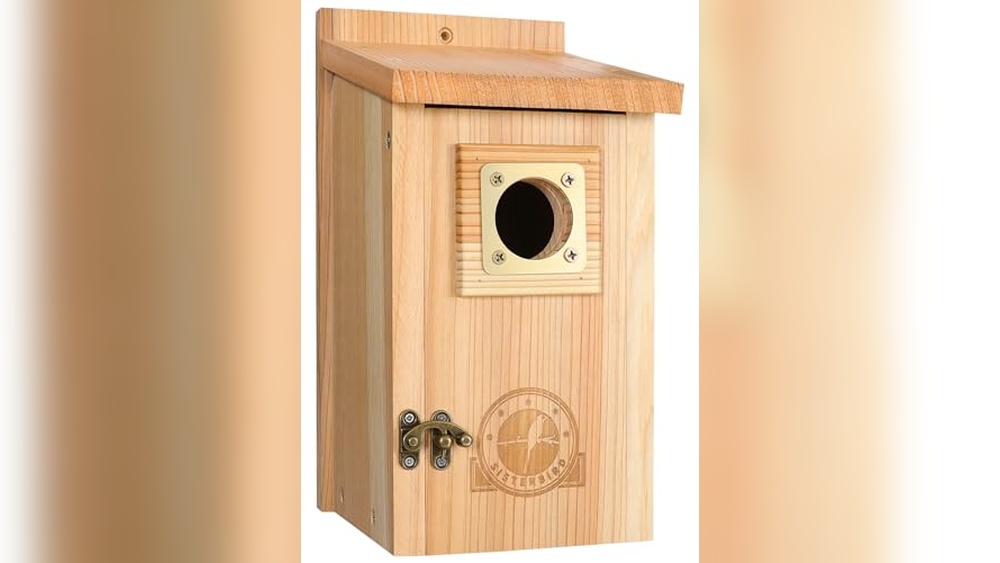 Best Bird Houses for Small Birds