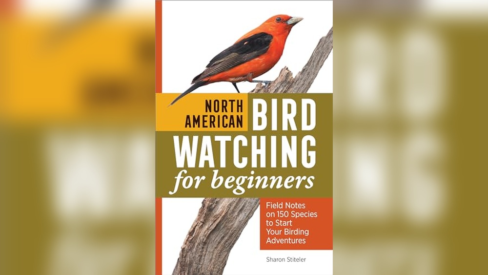 Best Bird Identification Books