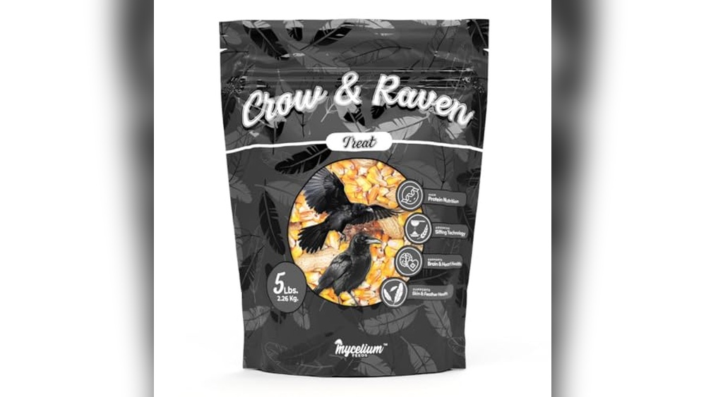 Best Bird Seed for Crows