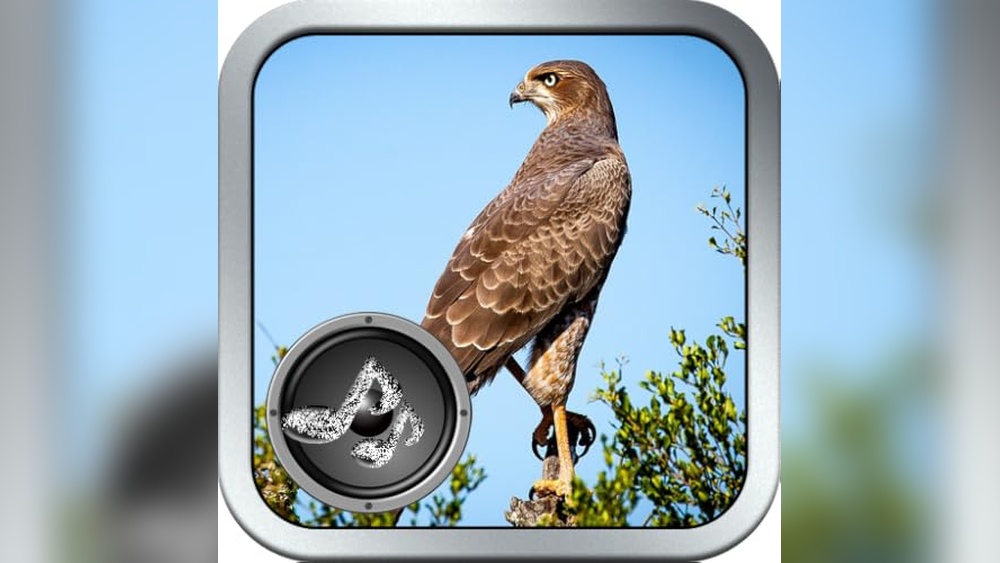 Best Bird Song Id App