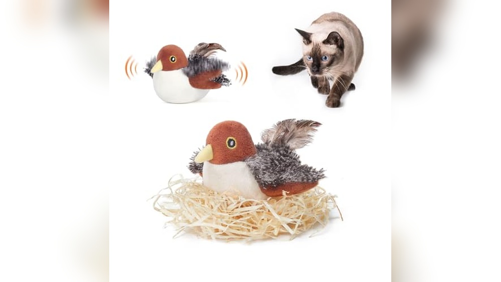 Best Bird Toy for Cat