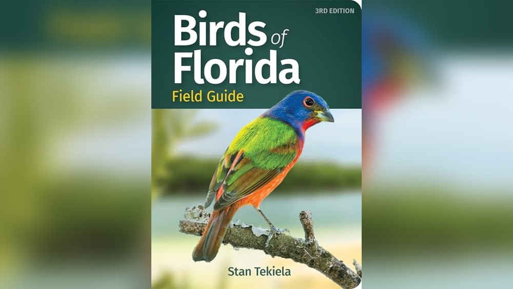 Best Bird Watching Locations