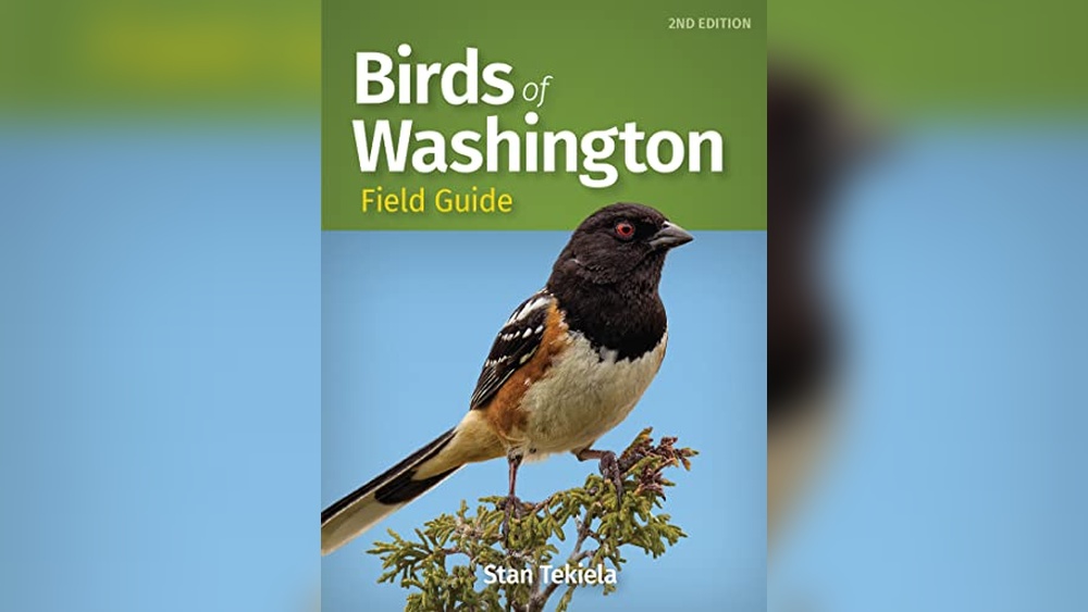 Best Bird Watching Places in the World