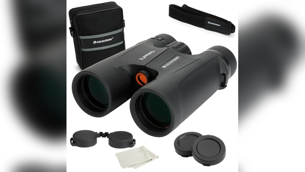 Best Birding Binoculars 2024