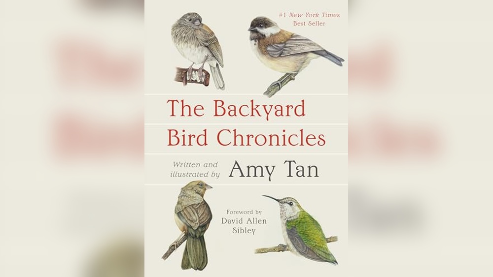 Best Book About Birds