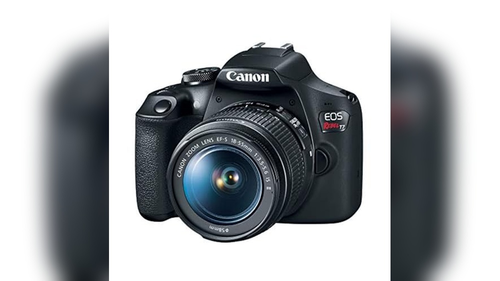 Best Camera for Birding