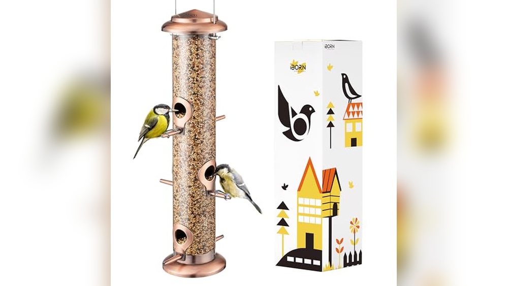Best Color for Bird Feeder