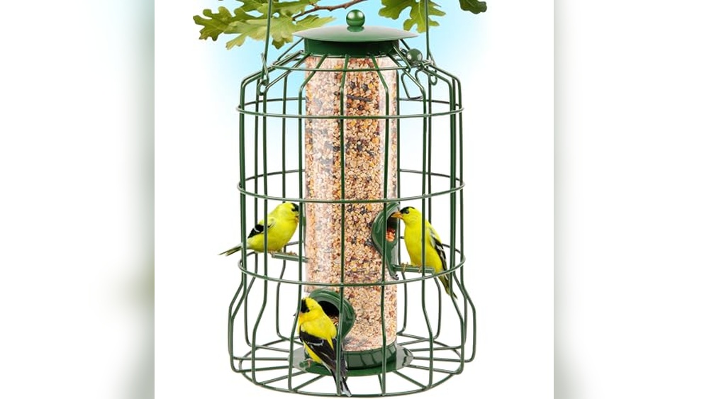 Best Grackle Proof Bird Feeder