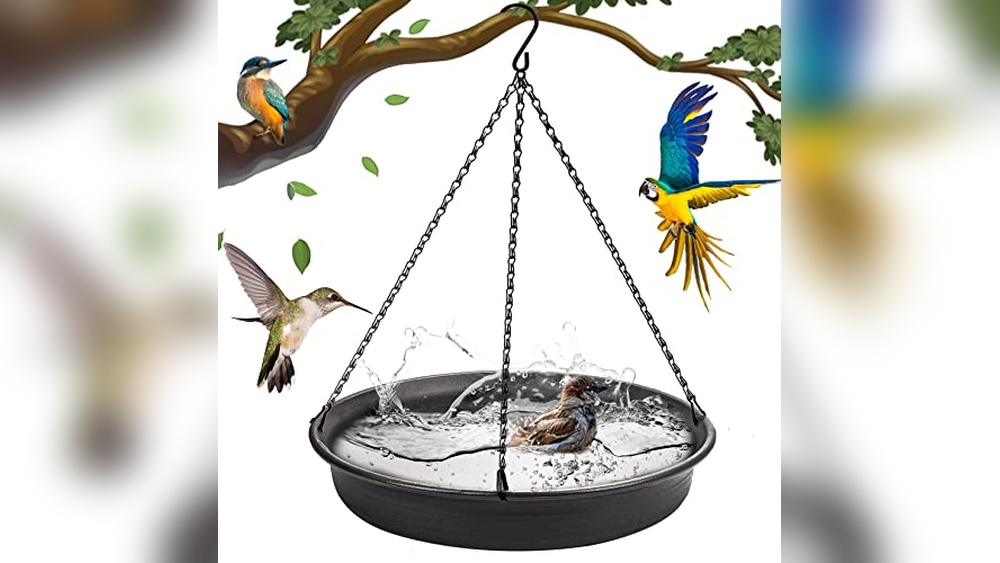 Best Hanging Bird Baths