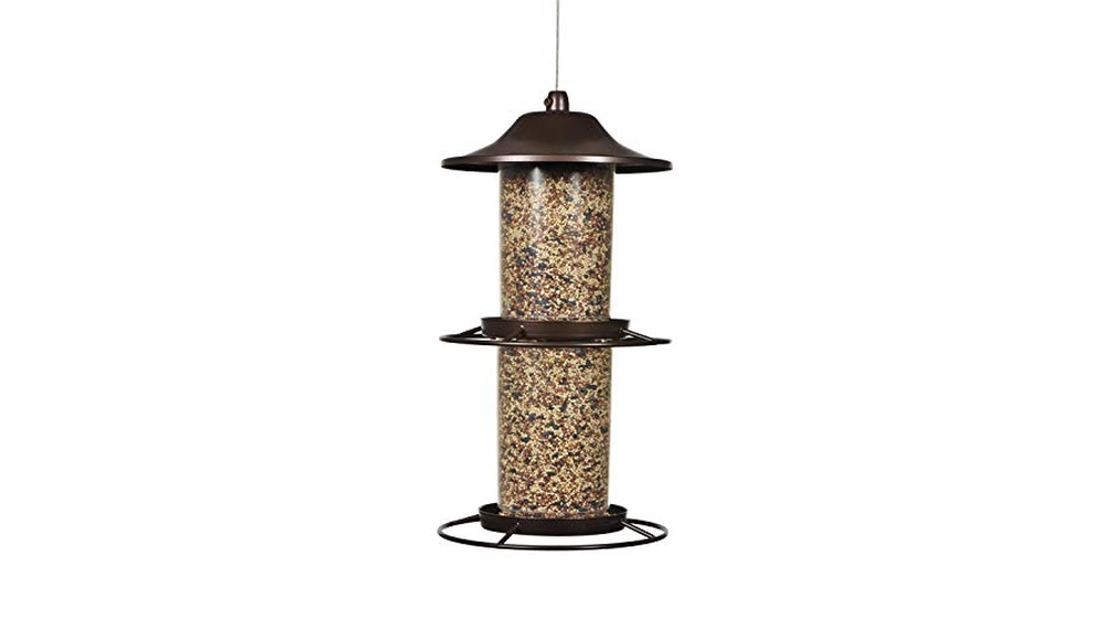 Best Large Bird Feeder