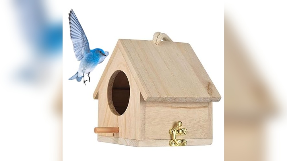 Best Nest Bird Houses