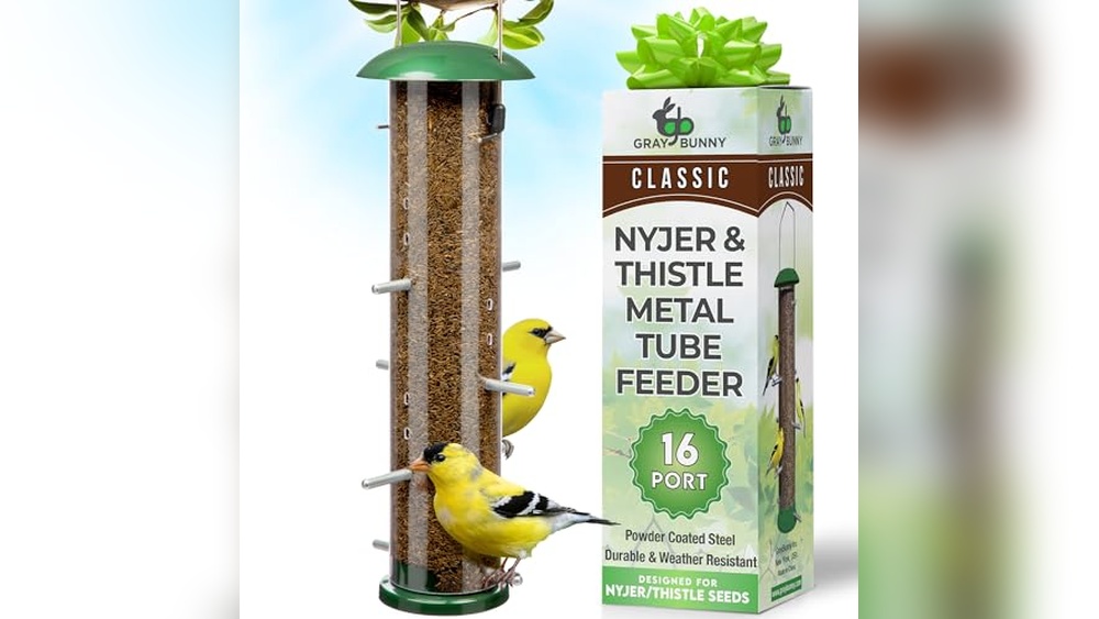 Best Nyjer Seed Bird Feeders
