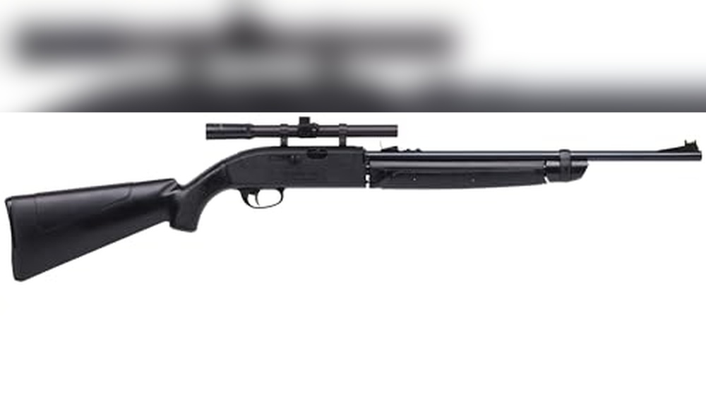 Best Pellet Gun for Birds