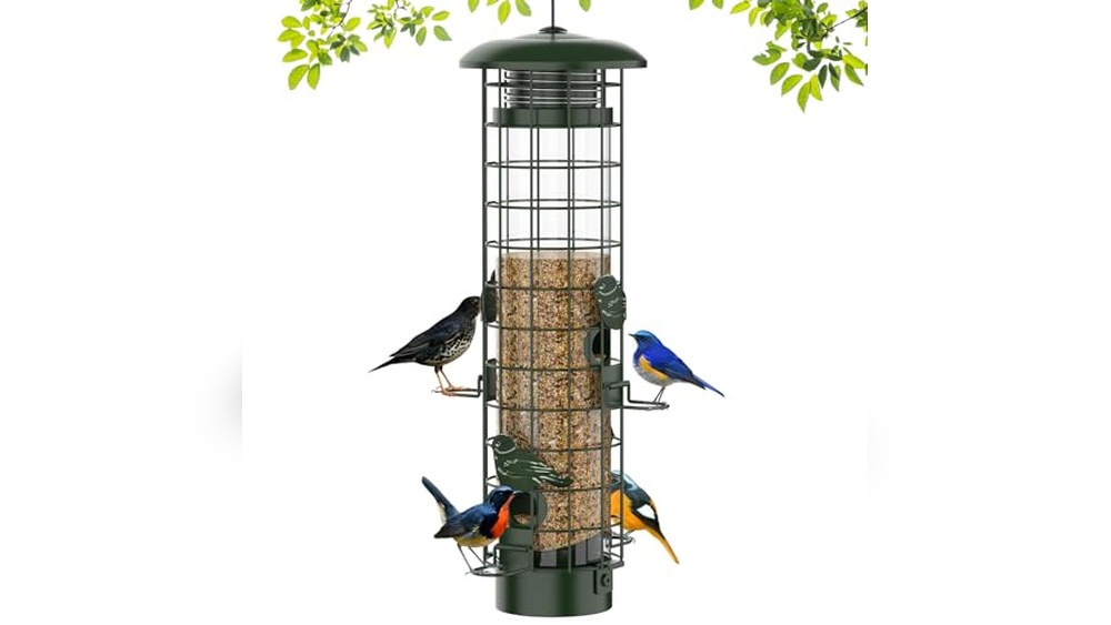 Best Small Bird Feeder