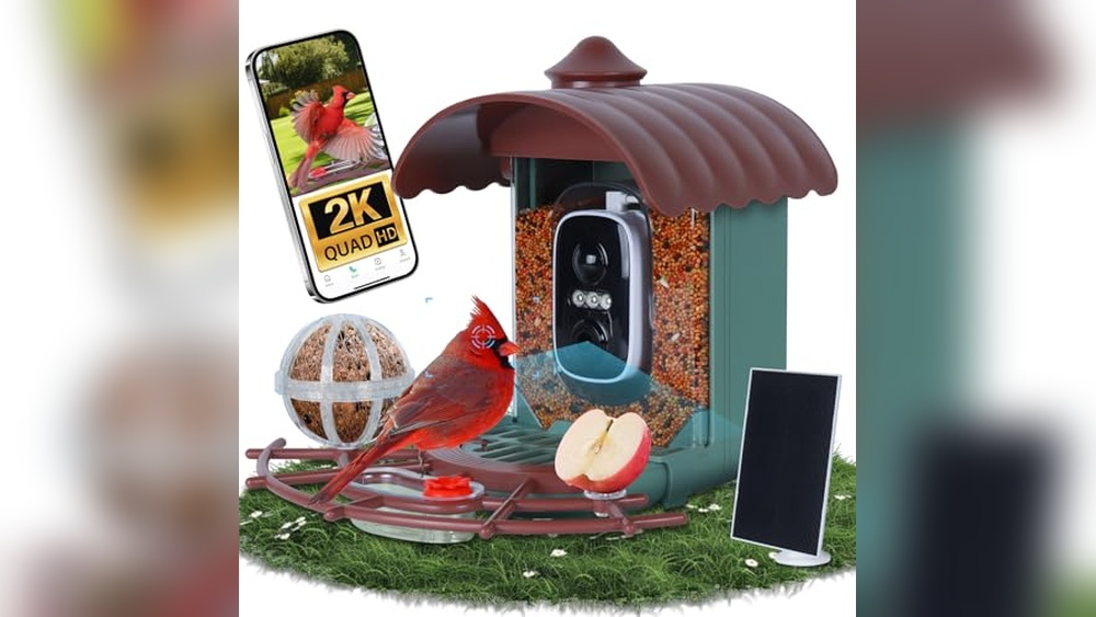 Best Smart Bird Feeder Camera
