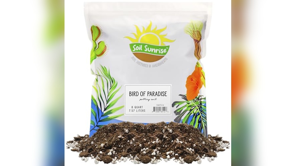 Best Soil for Birds of Paradise