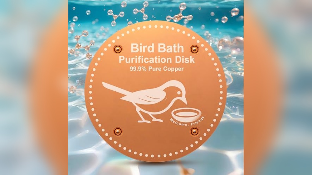 Best Solar Heated Bird Bath