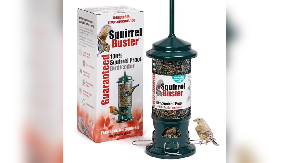 Best Squirrel Buster Bird Feeder