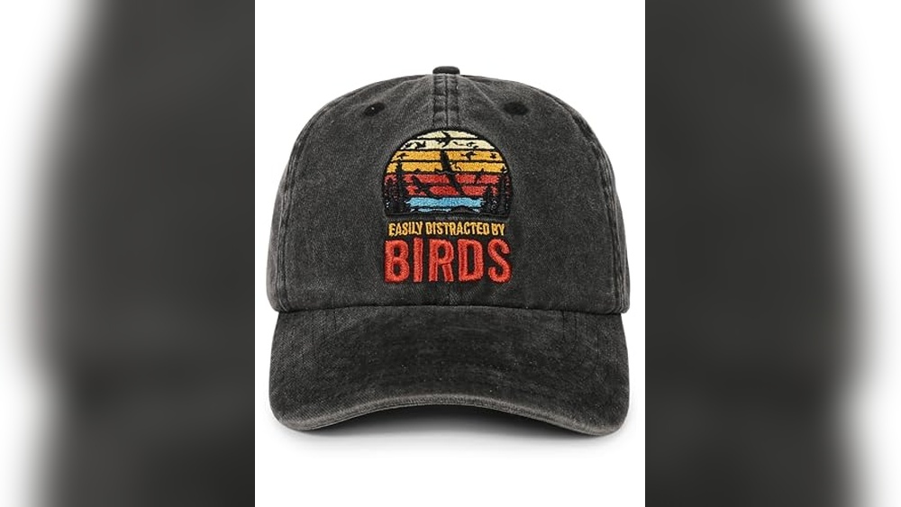 Best Time to Go Birding