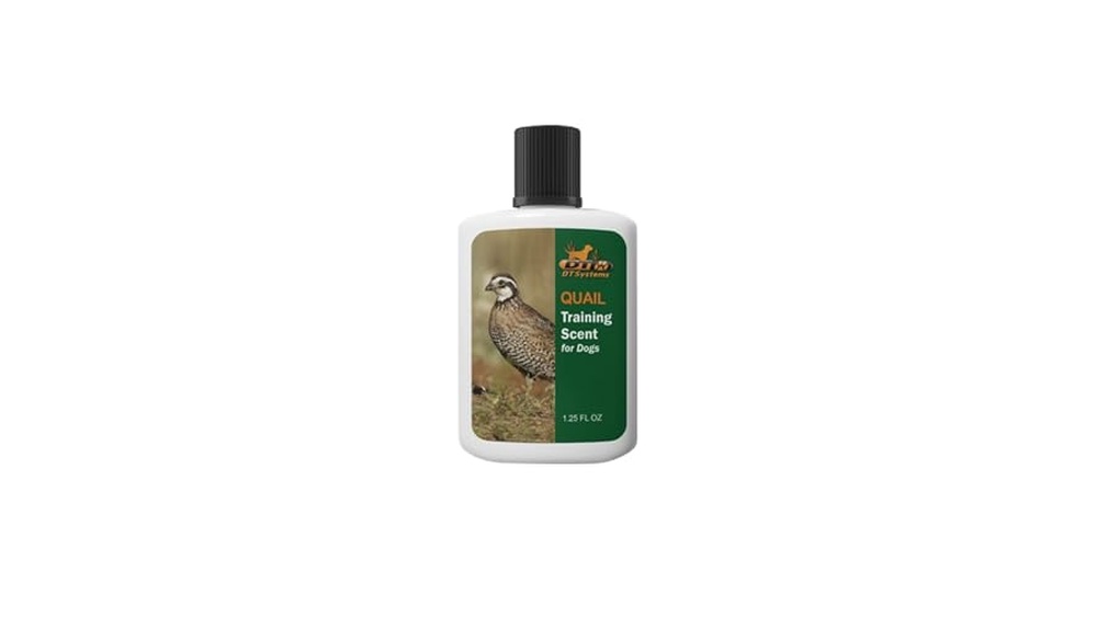 Best Upland Bird Dogs