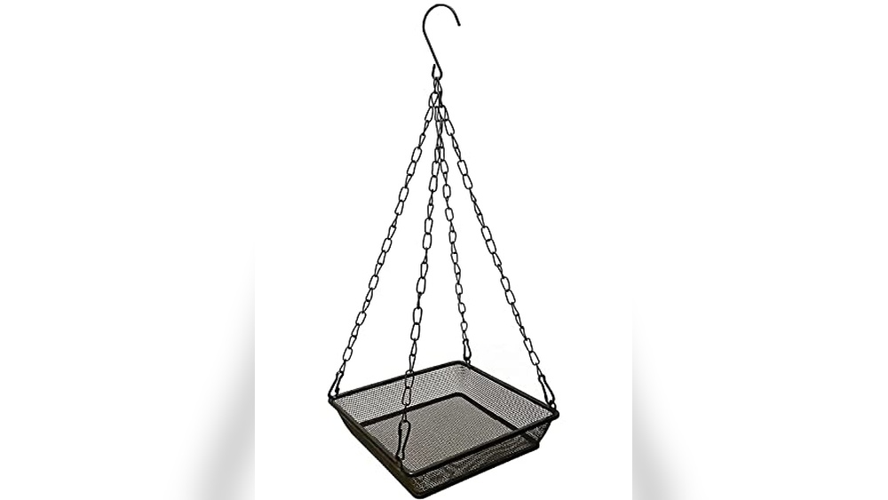 Best Way to Hang a Bird Feeder