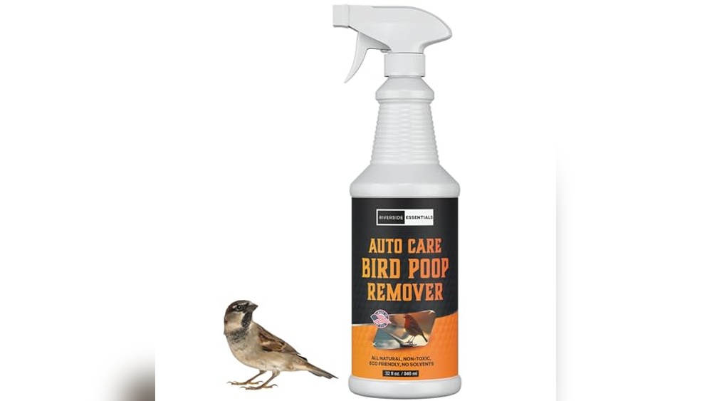 Best Way to Remove Bird Poop from Car