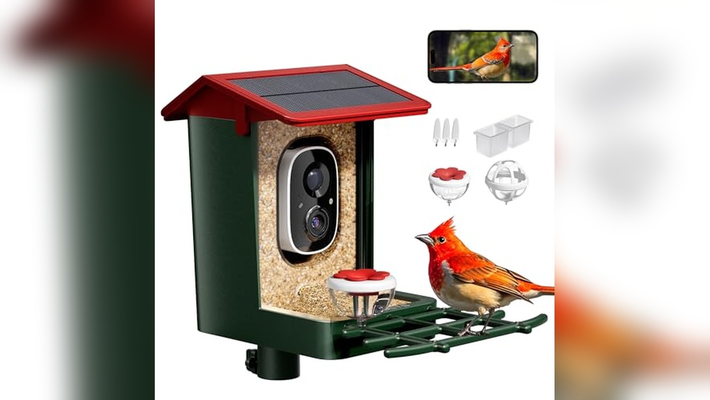 Best Wifi Bird Feeder