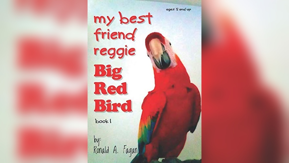 Big Bird'S Best Friend