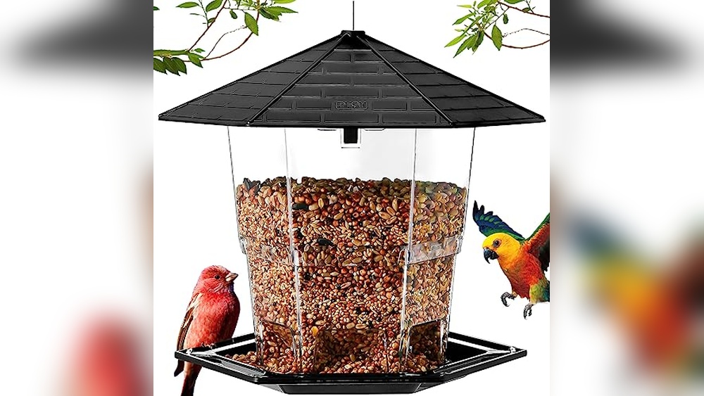 Bird Feeder And Bird Seed