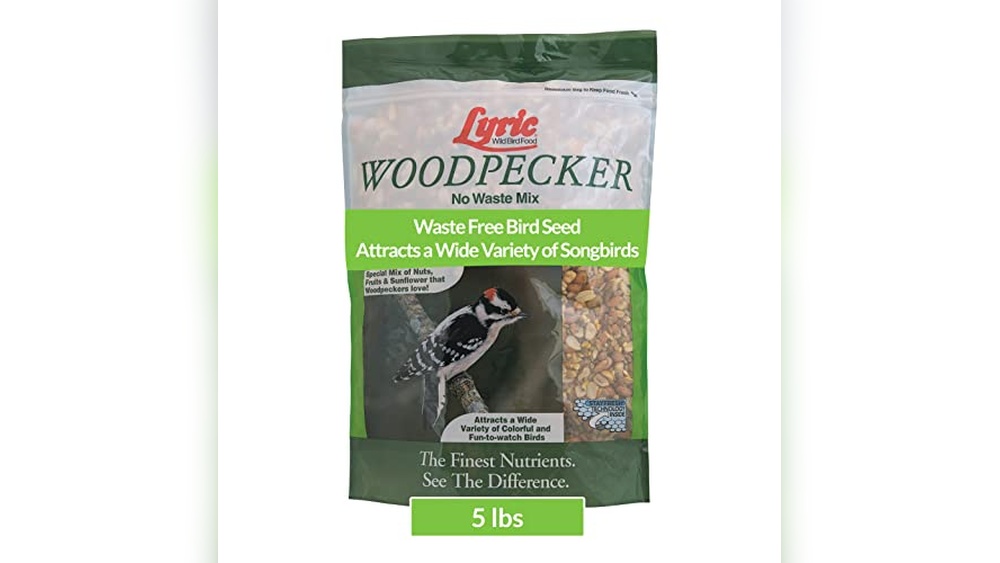 Bird Food for Woodpeckers