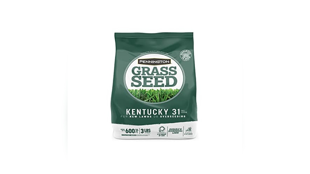 Bird Resistant Lawn Seed