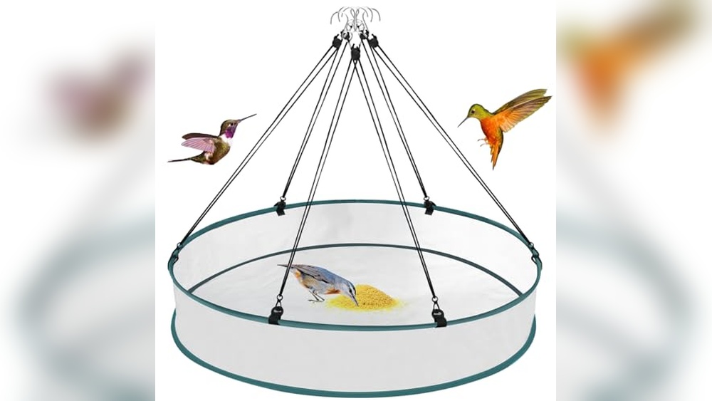 Bird Seed Catch Tray