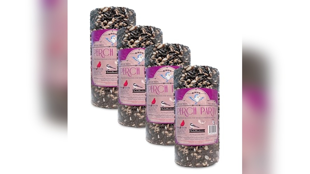 Bird Seed Cylinders Amazon