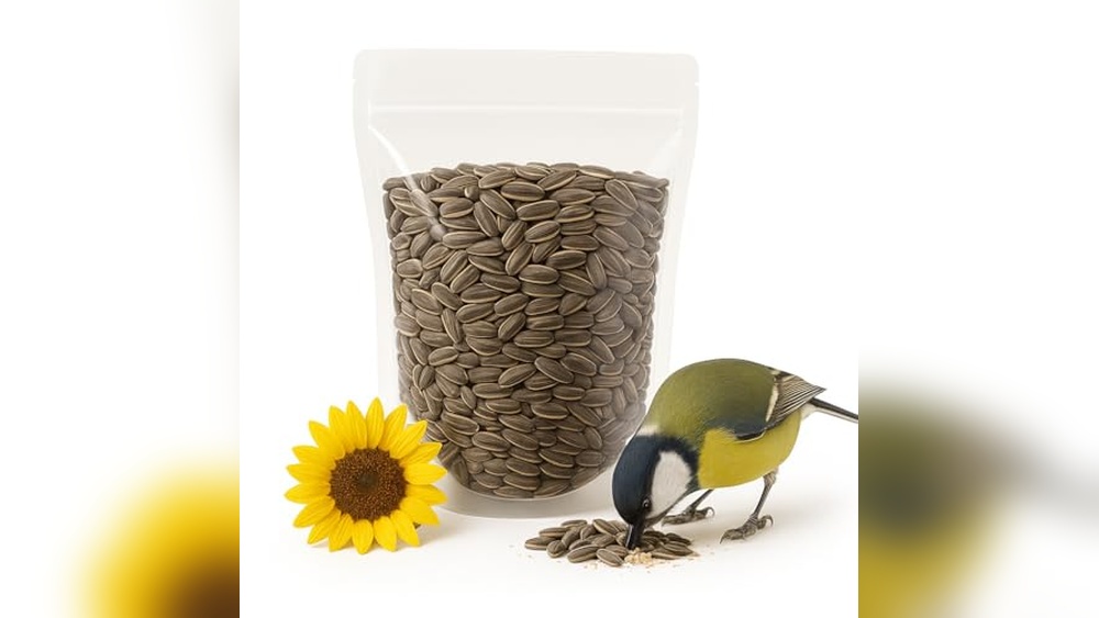 Bird Sunflower Seeds Sale