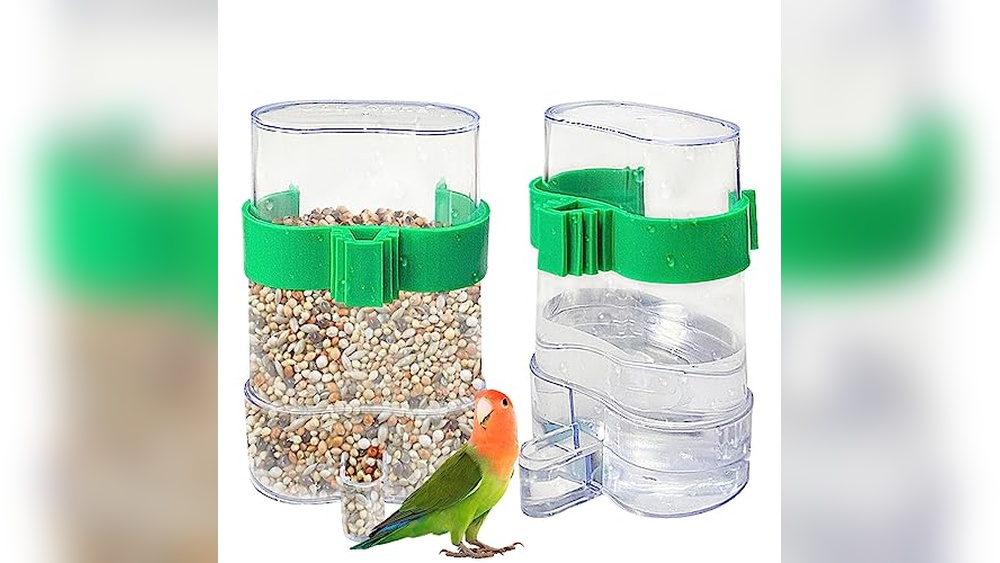 Bird Water And Food Feeder