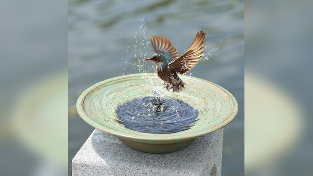 Bird Water Fountain Outdoor