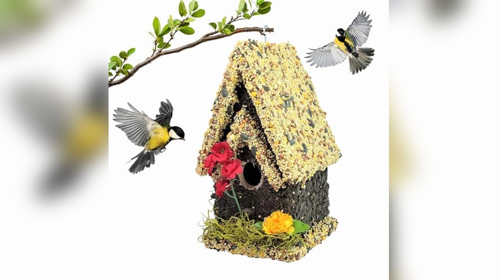 Birdhouse Covered in Bird Seed