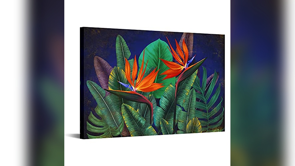 Birds of Paradise from Wall Seed Co Photos