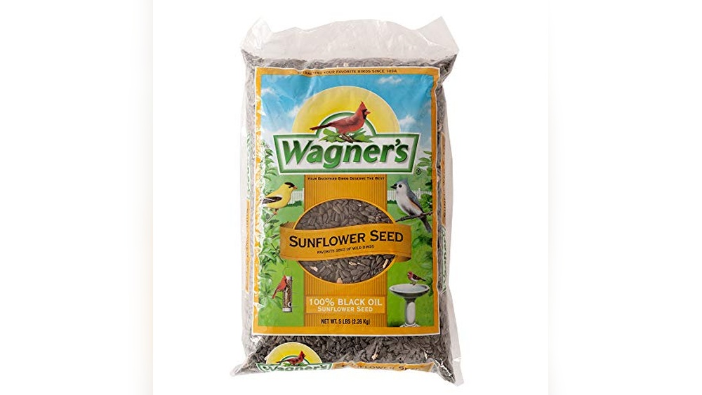 Bulk Sunflower Seeds for Birds
