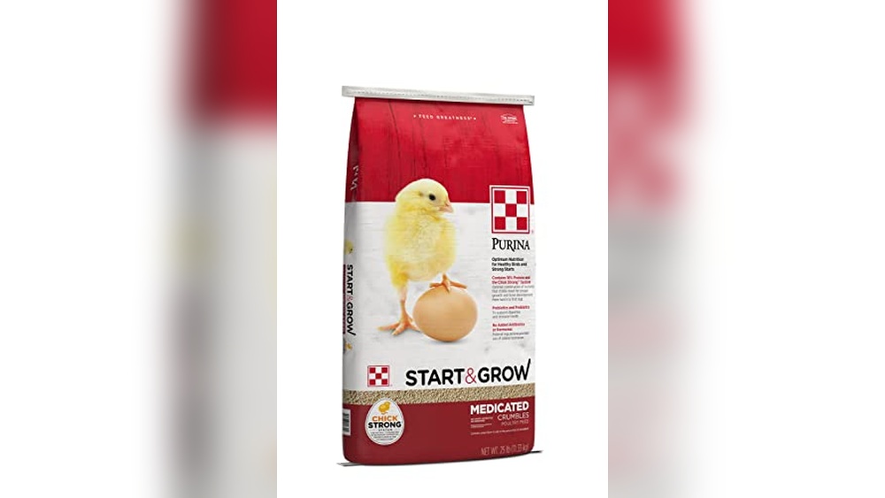 Chick Feed Vs Meat Bird Feed