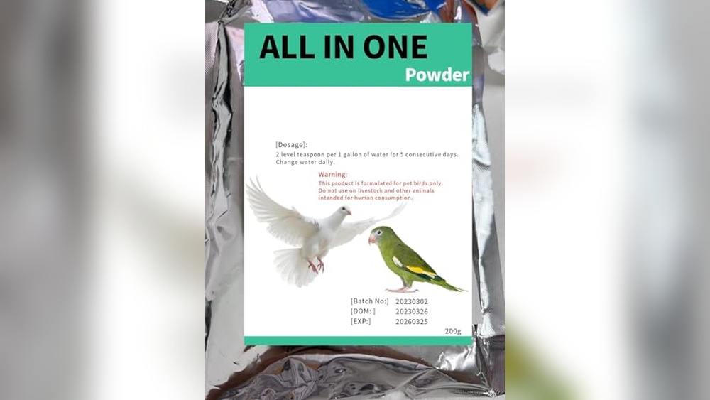 Chicken Bird Flu News
